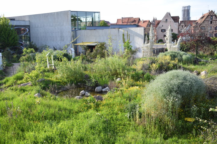Steiner & Lenzlinger, Schatz & Jardin, Mai 2023 ( vue du jardin du FRAC) , Mai 2023