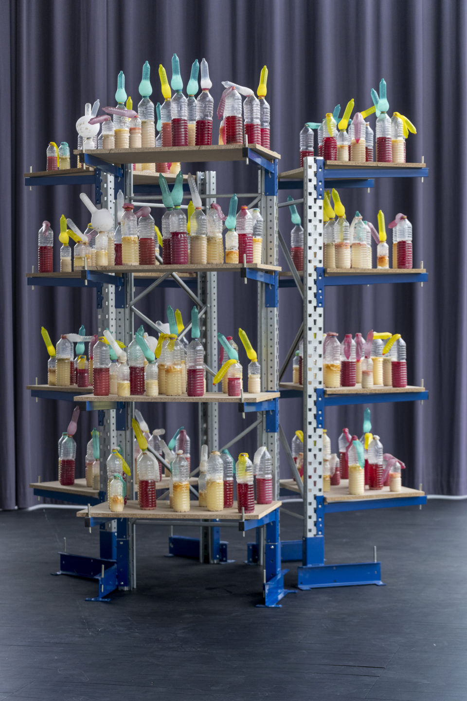 Nicolas Daubanes, Prohibition,2016/2023. Trois étagères, 175 bouteilles en plastique, eau, sucre, levure, fruits, préservatifs. Dimensions variables