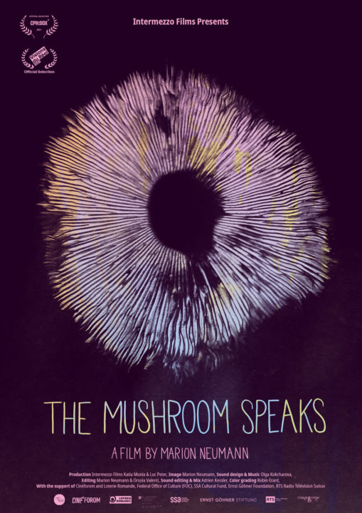 The mushroom speaks The mushroom speaks