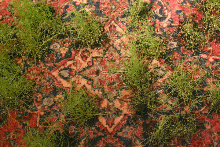 Maryam Danesh, Avec les fleurs du tapis, on peut aussi célébrer le printemps (2023), exposition Fragmenté, Le Stift. Photographie FRAC Alsace