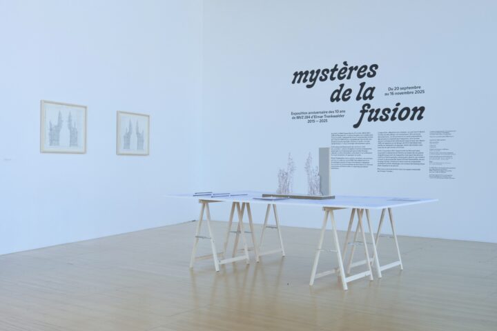 Vue de l'exposition "Mystères de la fusion", Elmar Trenkwalder © Jean-Louis Sonzogni