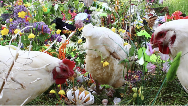 Crédit : STEINER & LENZLINGER, “Cockaigne (Schlaraffenland)”, vidéo, 2014
