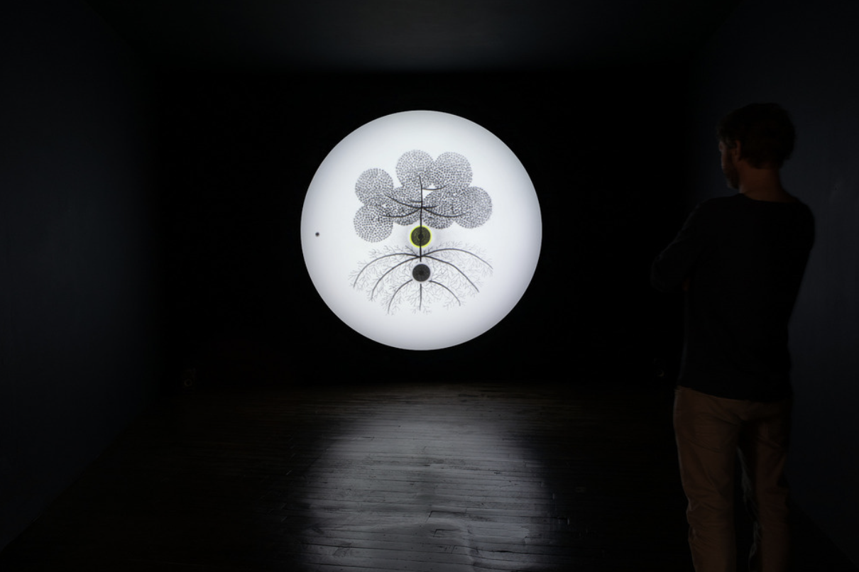 Younes-Rahmoun-Habba-FRAC-Alsace-coll