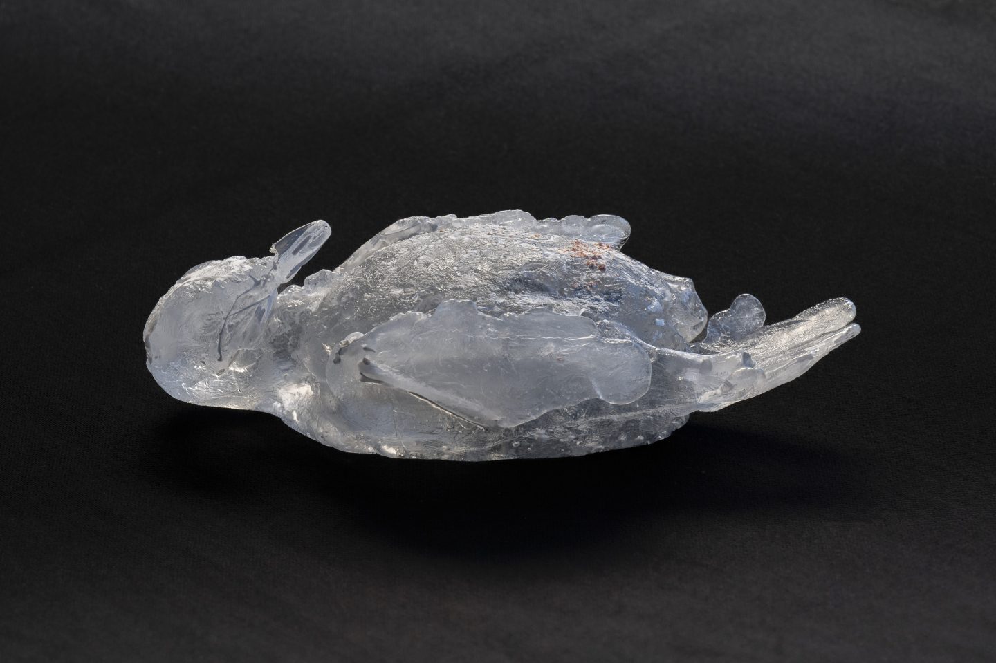 Elise Grenois, espace intermédiaire, photo Pierre Rich, FRAC Alsace