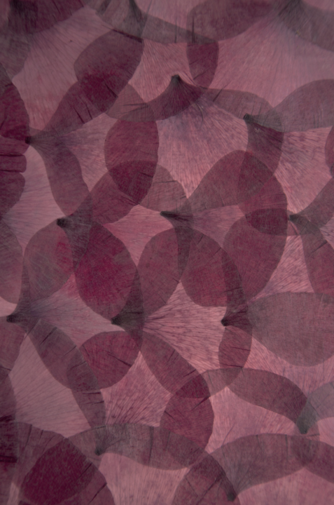 Léa-Barbazanges-etappenstall-la-nature-à-l-oeuvre-frac-alsace