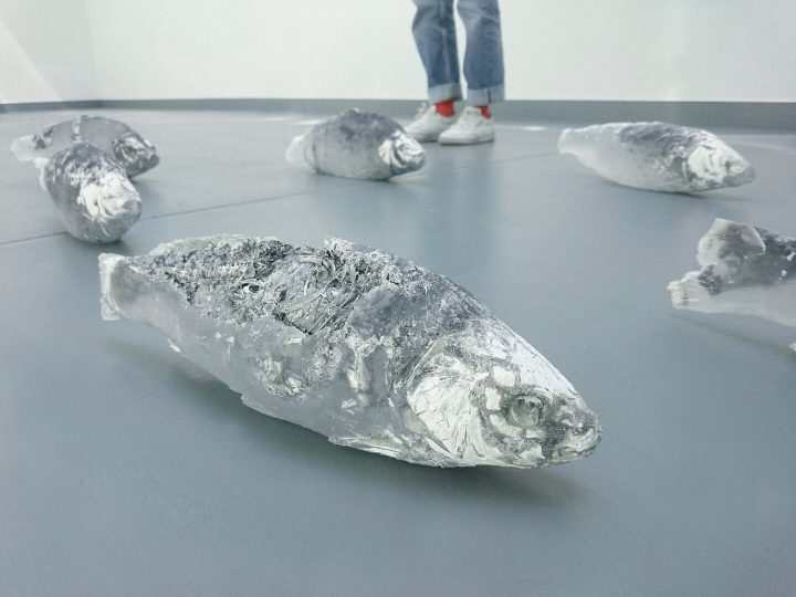 Elise Grenois, FRAC Alsace, artiste, collection, espace intermédiaire