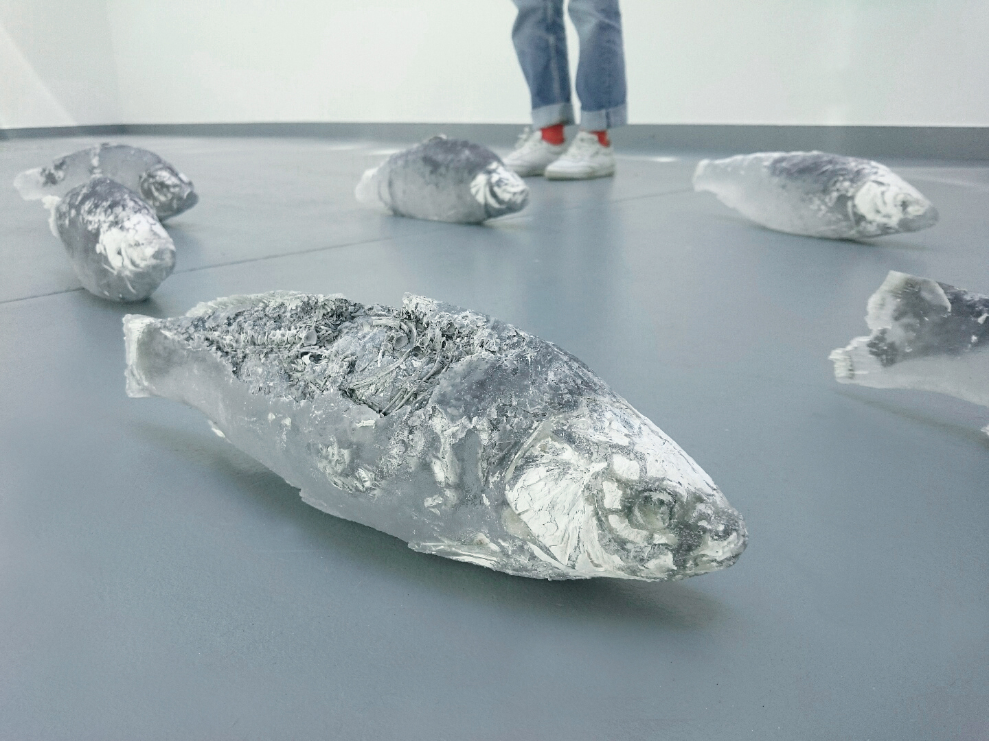 Elise Grenois, FRAC Alsace, artiste, collection, espace intermédiaire