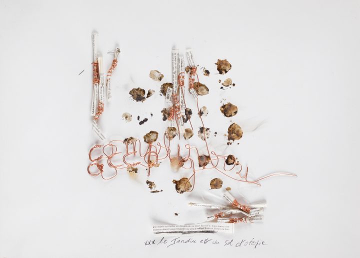 Myriam Mihindou, Le jardin est un sol d’utopie, 2017, Collection FRAC Alsace © ADAGP 2026, Paris - Crédit photo : Pierre Rich