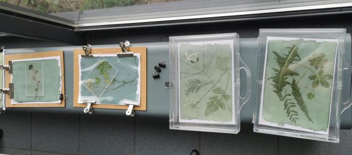 le-jardin-tout-en-bleu-atelier-creation-frac-alsace