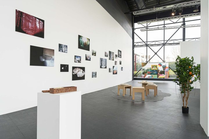 Exposition "Parfois revenir en arrière et avancer se confondent", 2026, FRAC Alsace © Alex Flores, Photographe Œuvres : (premier plan) Ouassila Arras, "Hayek", 2020, Collection FRAC Champagne-Ardenne | (à gauche) Estefania Peñafiel Loaiza, "Un air d’accueil", 2013-2015, Collection FRAC Alsace, ADAGP Paris, 2026 | (au centre) Josèfa Ntjam, "Articles indéfinis", de la série "Sous la mangrove", 2019, Collection FRAC Alsace, ADAGP Paris, 2026 Exposition "Parfois revenir en arrière et avancer se confondent", 2026, FRAC Alsace © Alex Flores, Photographe Œuvres : (premier plan) Ouassila Arras, "Hayek", 2020, Collection FRAC Champagne-Ardenne | (à gauche) Estefania Peñafiel Loaiza, "Un air d’accueil", 2013-2015, Collection FRAC Alsace, ADAGP Paris, 2026 | (au centre) Josèfa Ntjam, "Articles indéfinis", de la série "Sous la mangrove", 2019, Collection FRAC Alsace, ADAGP Paris, 2026