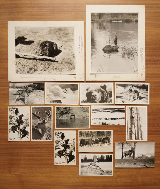 Recherches de Vincent Chevillon dans le fonds photographique de Louise Weiss, conservé au Musée du Château des Rohan à Saverne