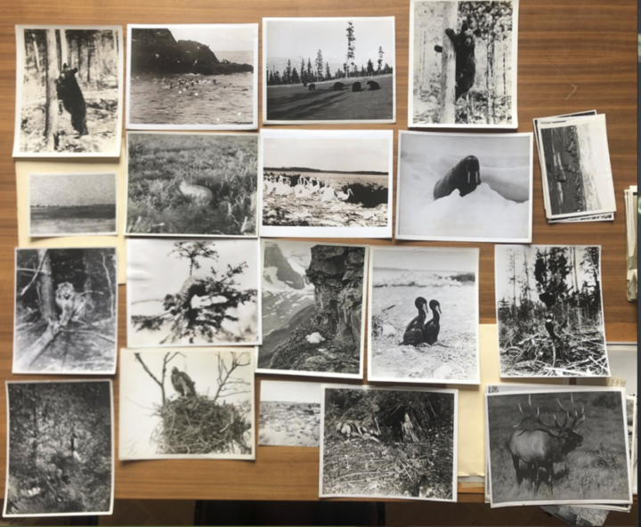 Recherches de Vincent Chevillon dans le fonds photographique de Louise Weiss, conservé au Musée du Château des Rohan à Saverne