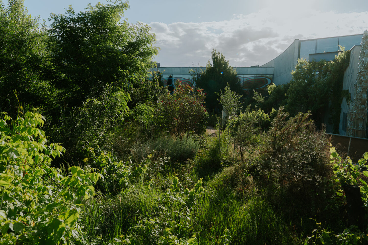 jardin-frac-alsace-sélestat