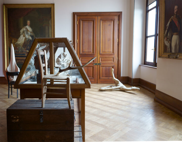 Vue de l’exposition Regain - Vincent Chevillon, Musée du Château des Rohan, Saverne, 2026 - Crédit photo : Vincent Chevillon