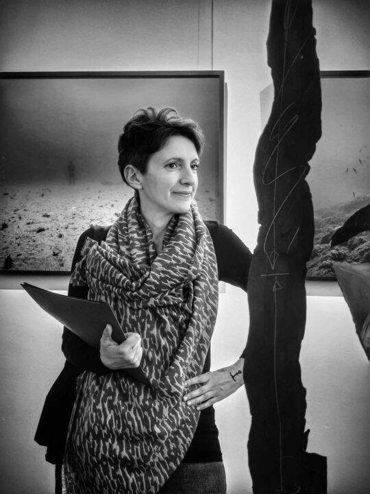 Anne-Virginie-Diez-La-Serre-Neugartheim-Art-Contemporain-FRAC-Alsace