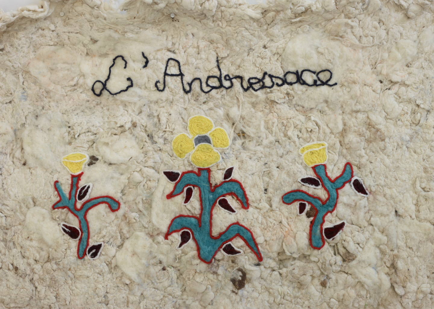 FRAC-Alsace-Radouan-Zeghidour-androsace